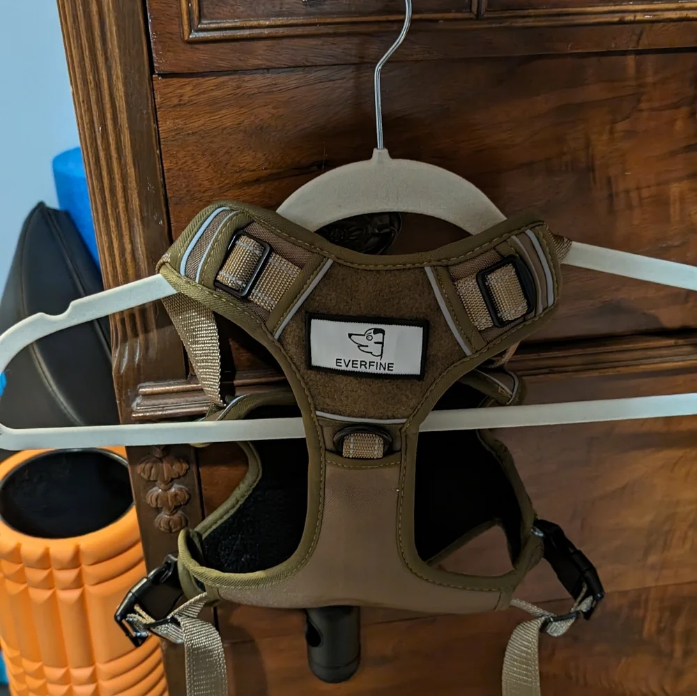 Dog harness